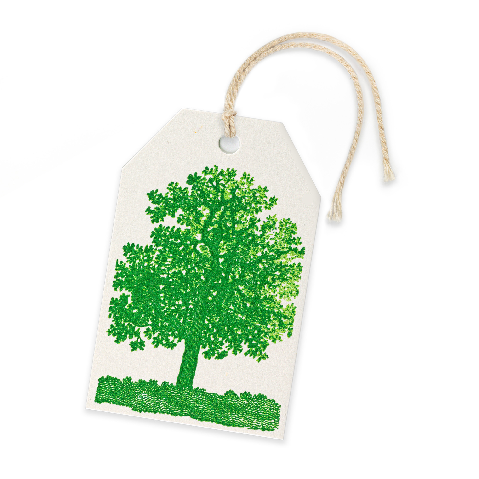 Oak Tree - Gift tags - Archivist - from Archivist Gallery 