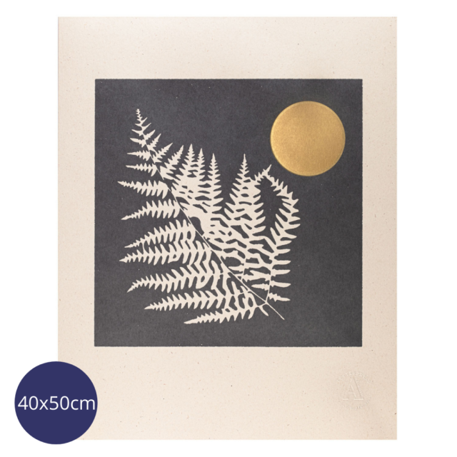 Night Time Fern Print - Large Prints - Real, Fun, Wow! - from Archivist Gallery