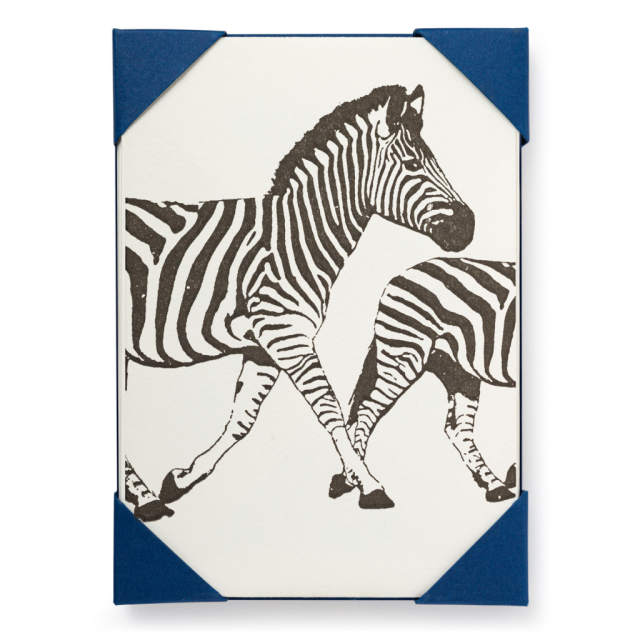 Zebra - Notelets Packs - from Archivist Gallery