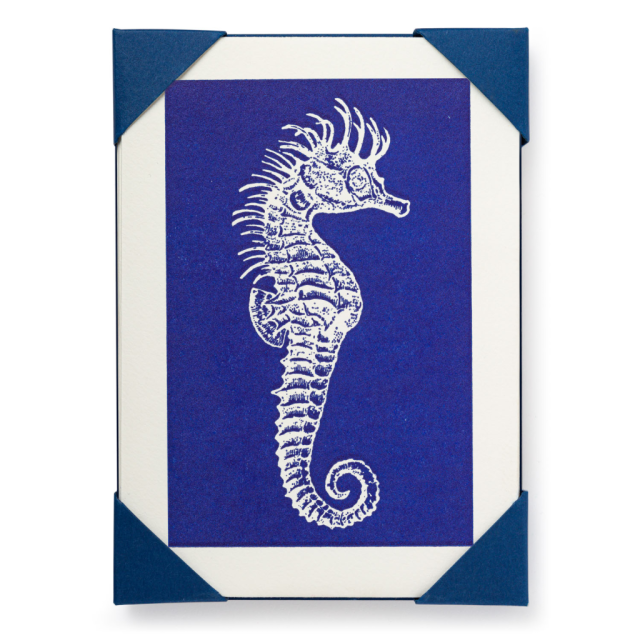 Single Seahorse - Notelets Packs - from Archivist Gallery