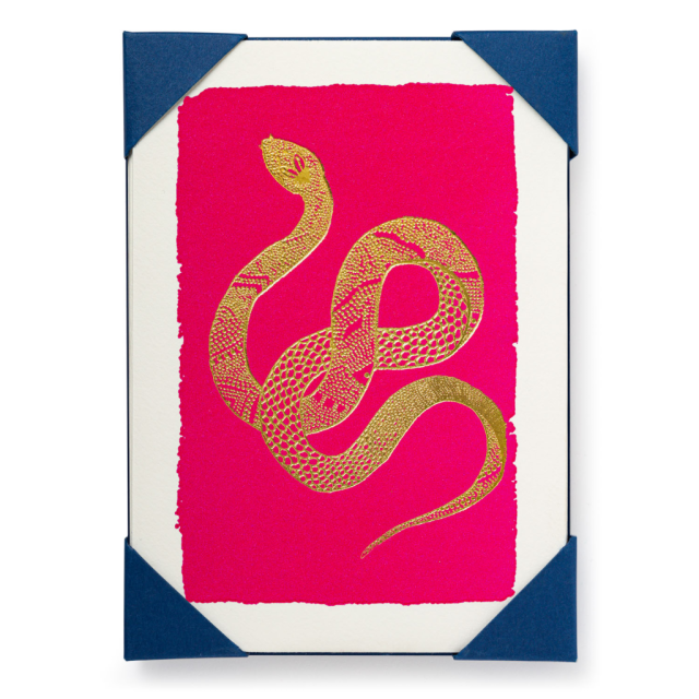 Magenta Snake - Notelets Packs - from Archivist Gallery