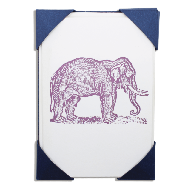 Elephant - Notelets Packs - from Archivist Gallery