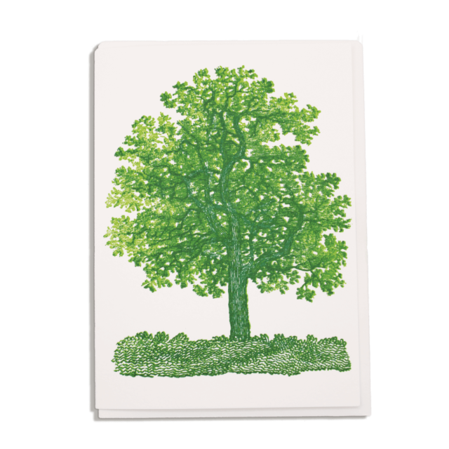 Oak tree - Notelets Singles - from Archivist Gallery
