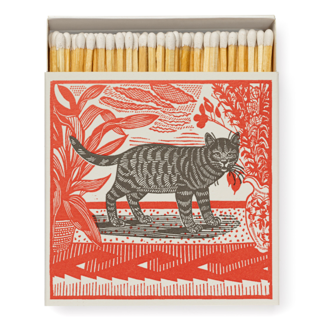Sasha The Cat - Square Matchboxes - Archivist - from Archivist Gallery