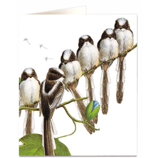 Long Tailed Tits
                             
                                     