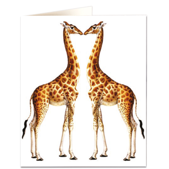 Giraffes
                             
                                     
