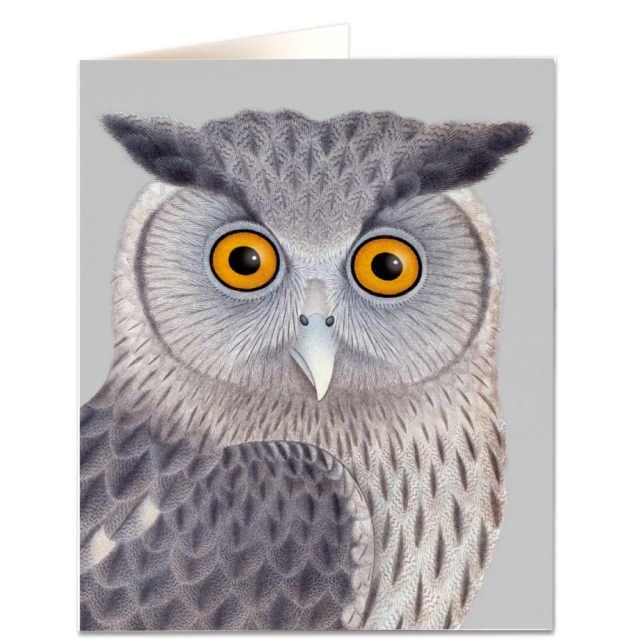 Dusky Eagle Owl
                             
                                     