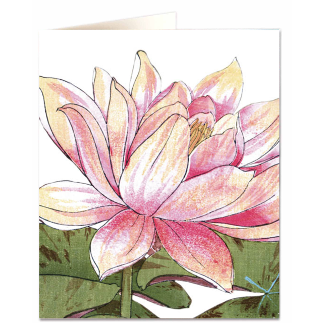 Lotus Flower
                             
                                     