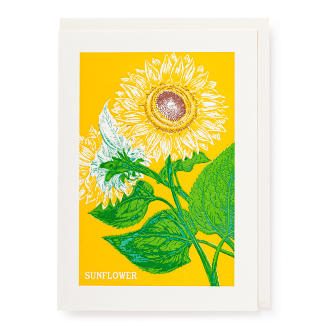 Sunflower - Letterpress Cards - Natural History Museum - from Archivist Gallery