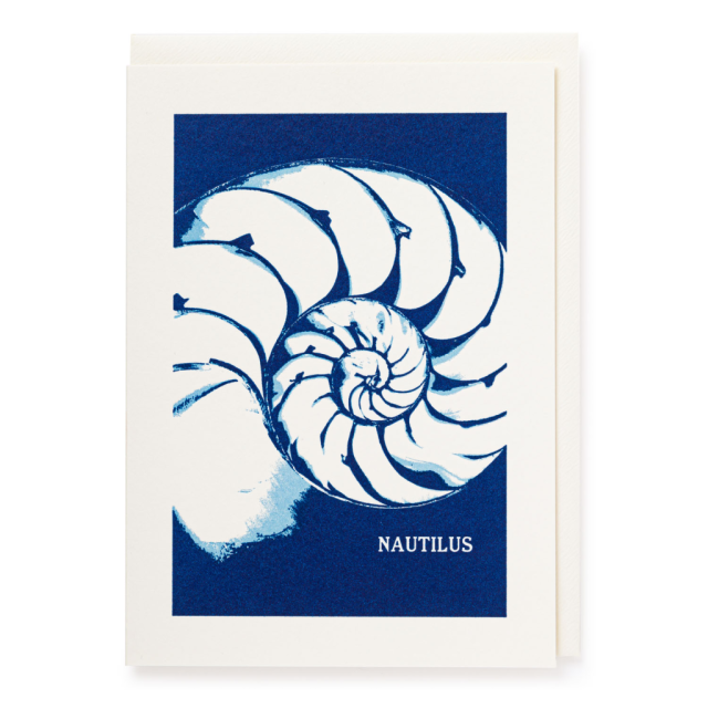 Nautilus - Letterpress Cards - Natural History Museum - from Archivist Gallery
